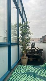 Nep plant ikea inc bak, Ophalen of Verzenden
