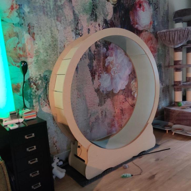 Katten loop wiel, Dieren en Toebehoren, Kattenspeelgoed, Zo goed als nieuw, Overig speelgoed, Ophalen of Verzenden
