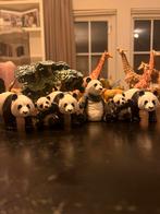 Schleich panda’s 6 stuks, Ophalen of Verzenden, Zo goed als nieuw