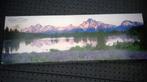 Panorama Grand Teton National Park 020316u, 500 t/m 1500 stukjes, Legpuzzel, Zo goed als nieuw, Ophalen