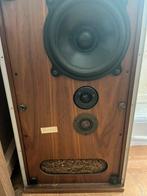 B&W DM2 luidsprekers – vintage topkwaliteit, Audio, Tv en Foto, Luidsprekers, Ophalen, Zo goed als nieuw, 60 tot 120 watt, Bowers & Wilkins (B&W)