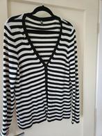 NIEUW VEST, Kleding | Dames, Truien en Vesten, Zwart, Maat 46/48 (XL) of groter, Nieuw, Ophalen of Verzenden