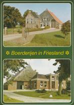 FRIESLAND Boerderijen, Verzenden, 1980 tot heden, Gelopen, Friesland