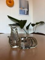 Abraham Palatnik lucide katten, Antiek en Kunst, Ophalen of Verzenden