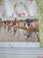 Vintage Wielrennen Prentkaart Blue Band, Ophalen of Verzenden, Gelezen, Lopen en Fietsen