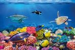Onderwater behang Eiland, koraal, vissen, Muurdeco4kids, Minder dan 10 m², Onderwater, koraal, vissen,, Verzenden