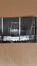 Circus/ 2 foto`s Circus Williams, Holland tournee 1961., Verzamelen, Overige Verzamelen, Ophalen of Verzenden, Gebruikt