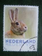 persoonlijk  konijn, Postzegels en Munten, Postzegels | Nederland, Na 1940, Verzenden, Gestempeld