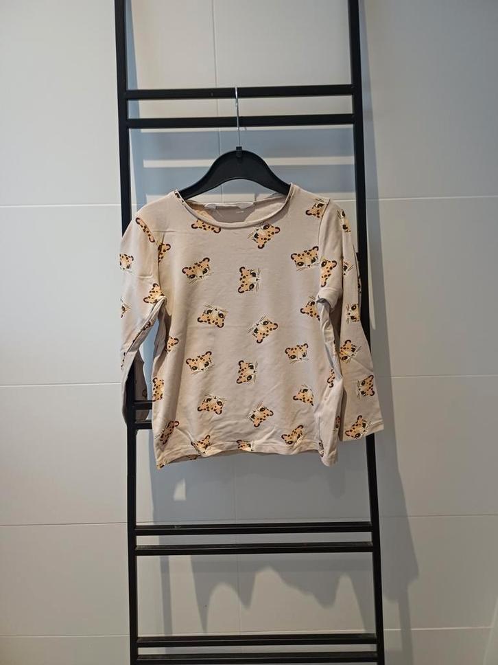 Longsleeve van H&M, maat 110/116, Kinderen en Baby's, Kinderkleding | Maat 110, Gebruikt, Meisje, Shirt of Longsleeve, Ophalen of Verzenden