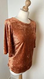 King Louie maat XL velvet fluwelen top NIEUW 1092, Kleding | Dames, Bruin, Maat 46/48 (XL) of groter, Nieuw, Ophalen of Verzenden
