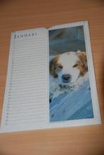 Verjaardagskalender hond.                Hallmark., Nieuw, Feestartikel, Ophalen