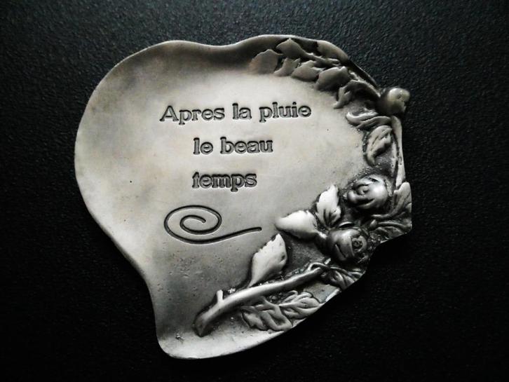 Vide poche met de spreuk Apres la pluie le beau temps, Antiek en Kunst, Antiek | Tin, Ophalen of Verzenden
