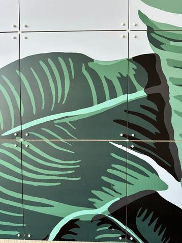 Banana Leaf xxl beschikbaar voor biedingen