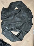 Nieuw  pmu leren  jasje maat 36, Ophalen of Verzenden, Nieuw met kaartje, Dames, Jas | leer