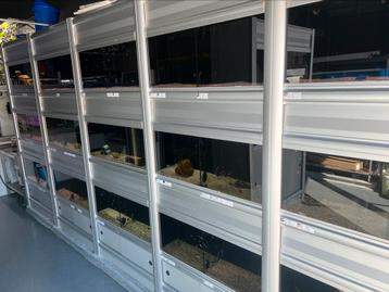 Aquariumstelling aquaja 4 meter breed beschikbaar voor biedingen