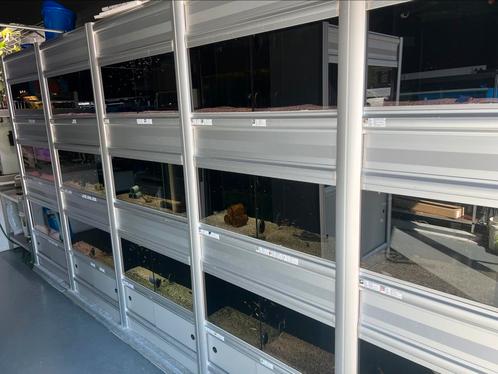 Aquariumstelling aquaja 4 meter breed, Dieren en Toebehoren, Vissen | Aquaria en Toebehoren, Gebruikt, Leeg aquarium, Ophalen