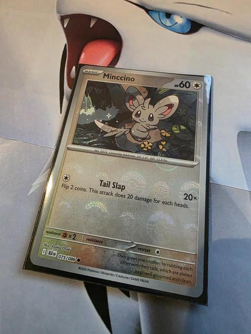 Pokémon Black Bolt Minccino Poke Ball BLK 075, Hobby en Vrije tijd, Verzamelkaartspellen | Pokémon, Nieuw, Losse kaart, Foil, Ophalen of Verzenden