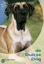 Duitse dog, Ophalen of Verzenden, Nieuw, Honden