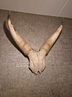 Hoorns, Huis en Inrichting, Ophalen, Gebruikt