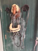 Kavalkade maat full hoofdstel met bont bit maat 12.5, Dieren en Toebehoren, Paarden en Pony's | Hoofdstellen en Tuigage, Ophalen of Verzenden