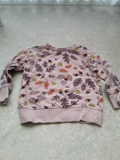 Zgan truitje met print maat 74 merk HEMA, Kinderen en Baby's, Babykleding | Maat 74, Zo goed als nieuw, Meisje, Truitje of Vestje