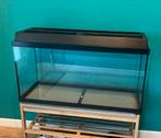 Hamster aquarium juwel, Gebruikt, 75 tot 110 cm, Ophalen, Minder dan 60 cm