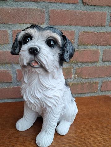 Leuke hondje beeld.  beschikbaar voor biedingen