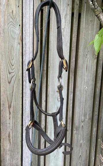Halster Kiefer Full /cob beschikbaar voor biedingen