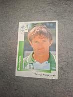 Panini sticker Voetbal 96. Harris Huizingh FC Groningen., Verzenden, Zo goed als nieuw, Sticker