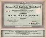Guyana Goud-Exploitatie-Mij., s-Gravenhage Mei 1890, Postzegels en Munten, Aandelen en Waardepapieren, Ophalen of Verzenden, Voor 1920