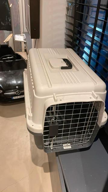 Transportboxen kat beschikbaar voor biedingen