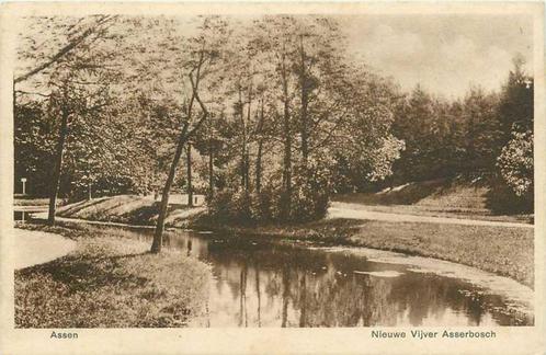 (380-275-007) Assen Nieuwe Vijver Asserbosch, Verzamelen, Ansichtkaarten | Nederland, Drenthe, Verzenden