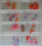 Vlinders acryl 3d nagels roze  knutselen incl verzend, Sieraden, Tassen en Uiterlijk, Overige kleuren, Nieuw, Ophalen of Verzenden
