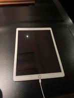 iPad Pro 12.9" (2015) - Mini Barst, Slechte Batterij, Computers en Software, Apple iPads, Gebruikt, 12 inch, Ophalen of Verzenden