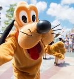 Pluto mascotte te huur of langs laten komen, Ophalen of Verzenden, Zo goed als nieuw, Verjaardag