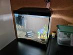 Aquarium incl visjes en kreeftje, Dieren en Toebehoren, Ophalen, Zo goed als nieuw, Gevuld zoetwateraquarium