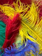 Pieten pruik. handschoenen en diverse pieten baret veren, Ophalen, Gebruikt