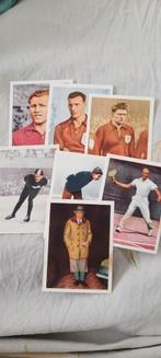 Nederlandse sportsuccessen plaatjes - 1953 van leeuwenzegel, Ophalen of Verzenden, Zo goed als nieuw, Plaatjesalbum