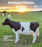 Holstein koe beeld, polyester melkkoe, kalf beeld, ezel, Tuin en Terras, Nieuw, Kunststof, Ophalen of Verzenden, Dierenbeeld