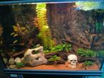 Aquarium 100cm 6060+eheimpro, Ophalen, Gebruikt, Gevuld zoetwateraquarium