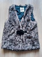 Vest/gilet/bodywarmer/waistcoat Zara Kids maat 152, Ophalen of Verzenden, Zo goed als nieuw, Meisje, Trui of Vest