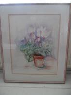 aquarel schilderij cyclamen, Ophalen of Verzenden
