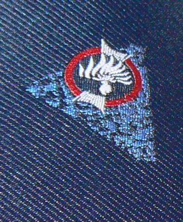 Rijkspolitie stropdas Reservepolitie Politie beschikbaar voor biedingen