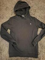 Hoodie calvin klein 176, Kinderen en Baby's, Kinderkleding | Maat 176, Gebruikt, Trui of Vest, Jongen, Calvin Klein