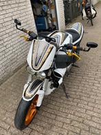 Buell 12 xb, Motoren, Motoren | Buell, 2 cilinders, Sportuitlaat, Particulier, Meer dan 35 kW