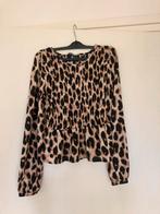 Leuke damesblouses maat xs en s, Overige kleuren, Ophalen of Verzenden, Zo goed als nieuw, Lange mouw