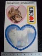sticker i love cats ik hou van katten poes poezen vintage, Verzenden, Zo goed als nieuw, Dier en Natuur