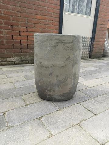 Bloempot beschikbaar voor biedingen