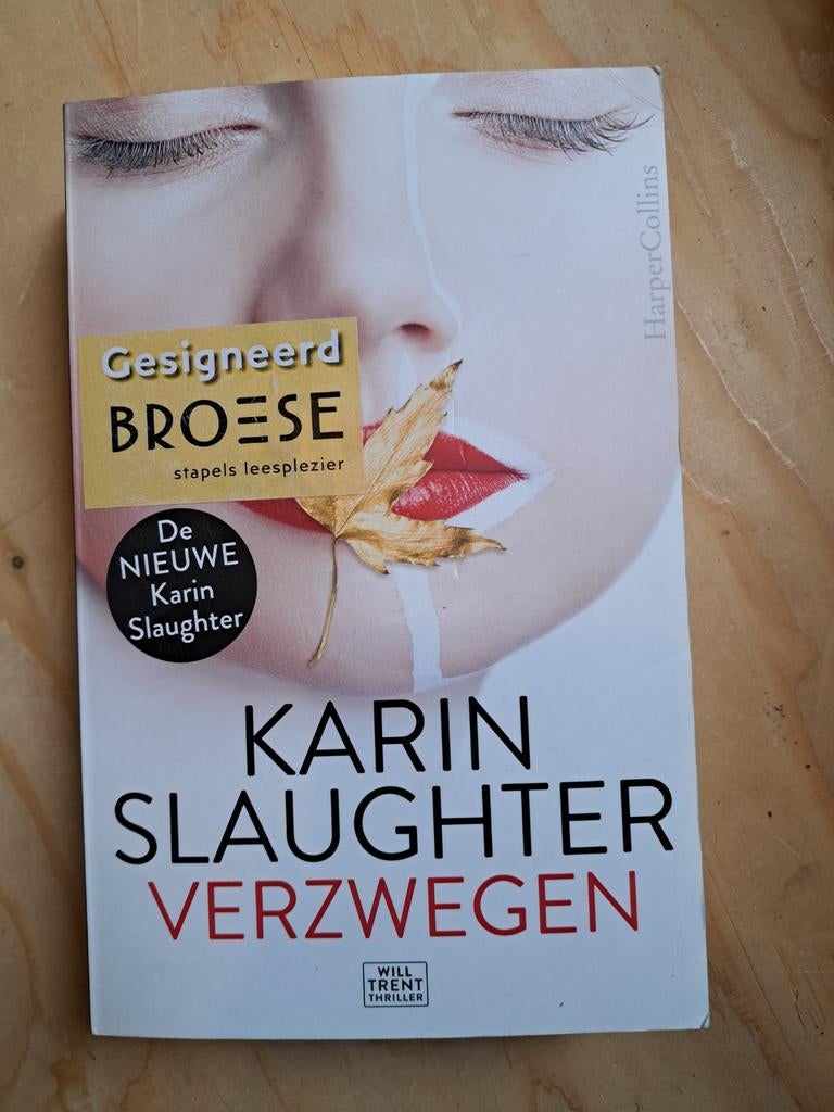 Karin Slaughter - Verzwegen, Boeken, Thrillers, Zo goed als nieuw, Ophalen of Verzenden
