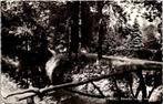 Sterksel - Riviertje in het bos, Verzamelen, Ansichtkaarten | Nederland, Verzenden, 1960 tot 1980, Ongelopen, Noord-Brabant